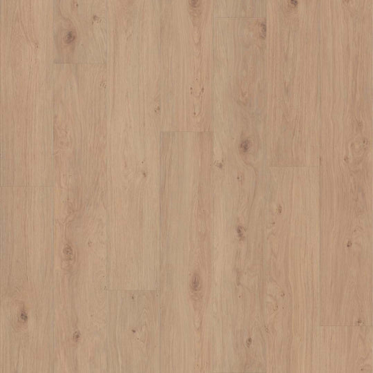 JENSEN RIDGE in Occasional Beige