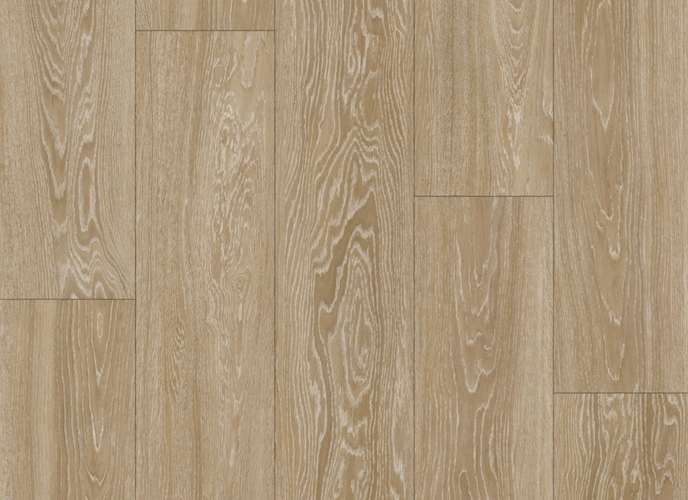 Lux Collection in Amber