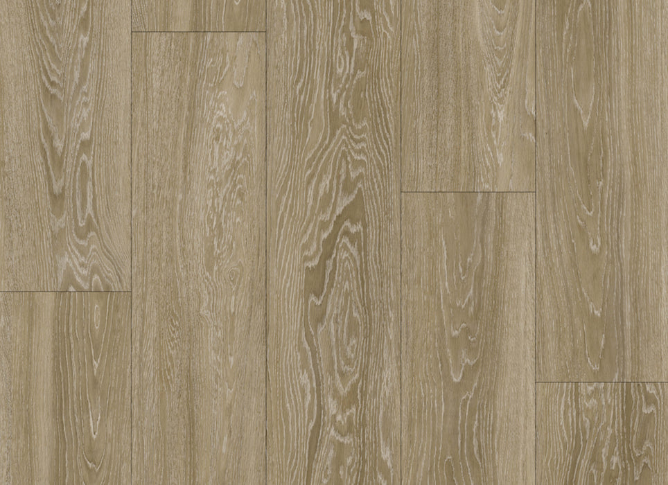 Lux Collection in Onyx