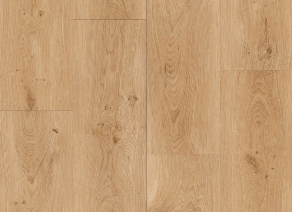 Lux Collection in Sunstone