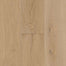 Coastside White Oak Engineered in La Jolla Shores 7.48" Hardwood