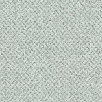Aquatic