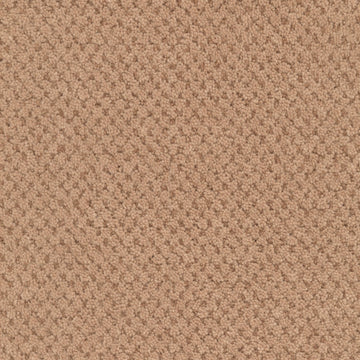 Terra Cotta