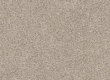 Labrador in Pomeranian Carpet