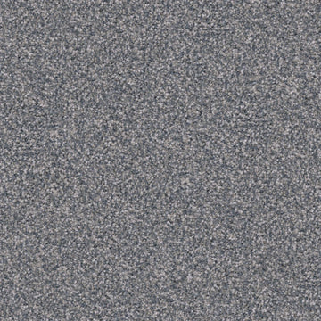 Pumi