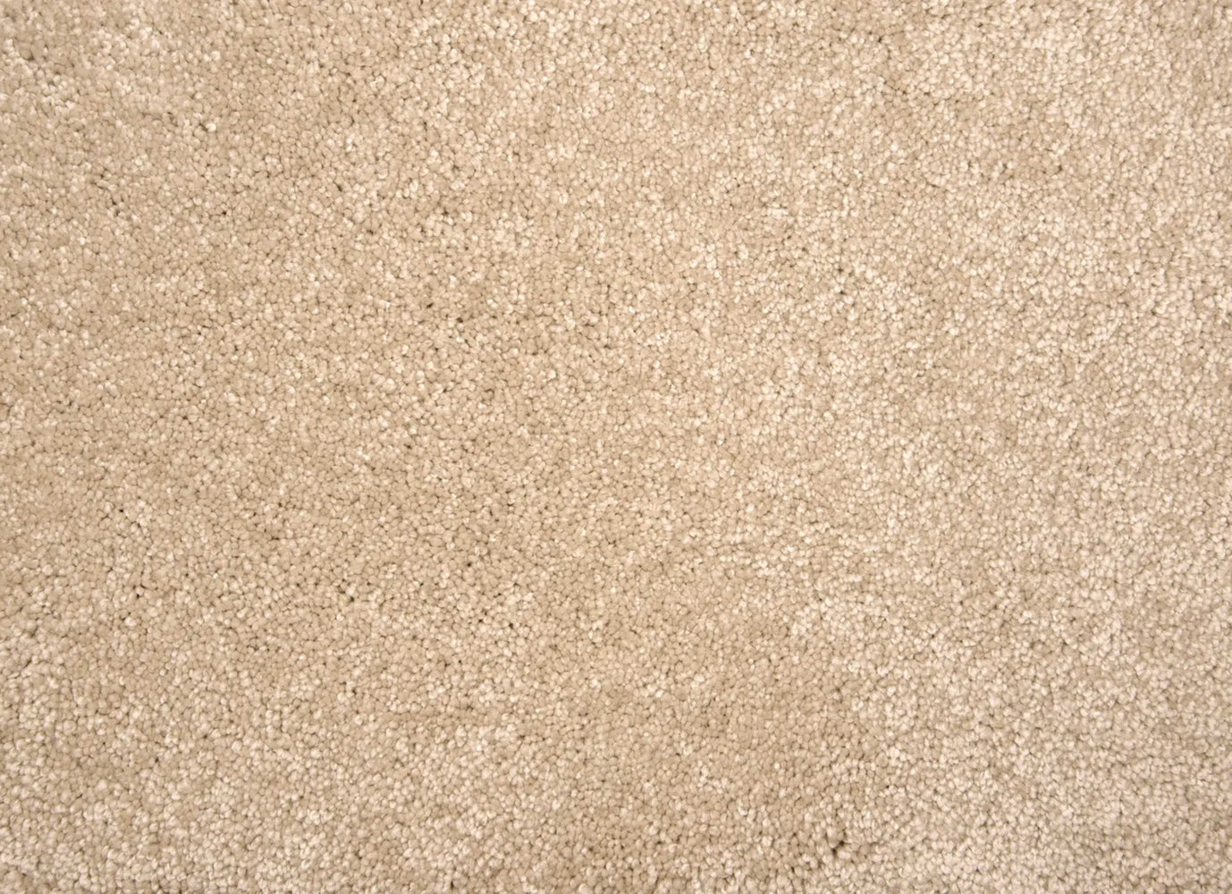 Lancelot in Sand Dollar Carpet