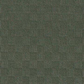 Fern