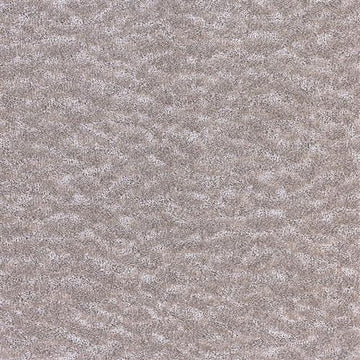 Fresh Taupe