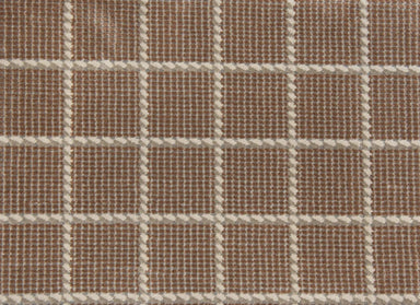 Leading Lines in Autumn Carpet