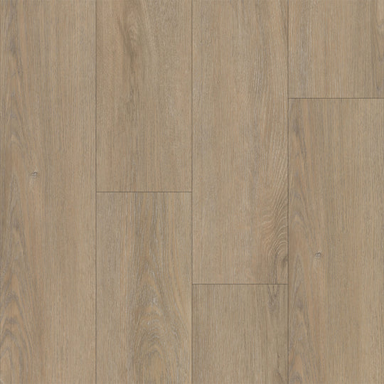 Liberty Bound in Boston