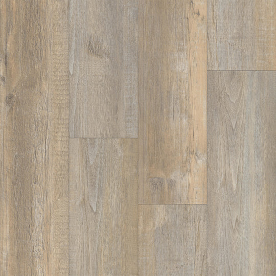 Liberty Bound in Yorktown