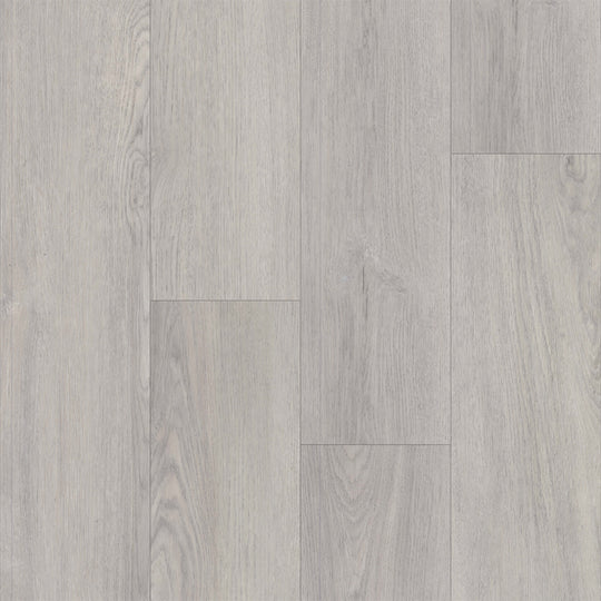 Liberty Bound in Trenton