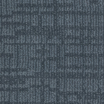 Bluetick