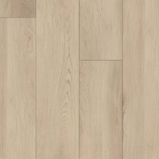 Regency in London Fog