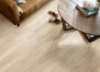 DAISETTA PLUS in Spalted Maple