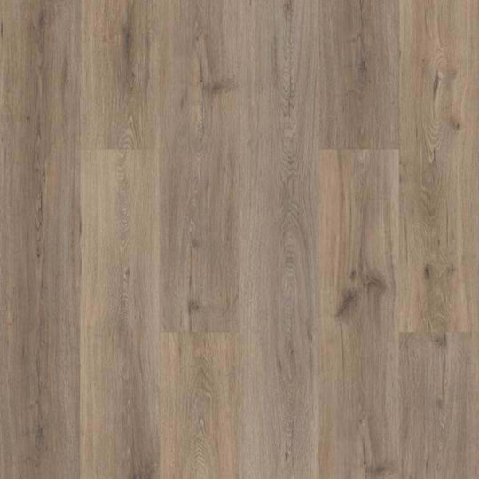 DAISETTA PLUS in Wild Dunes