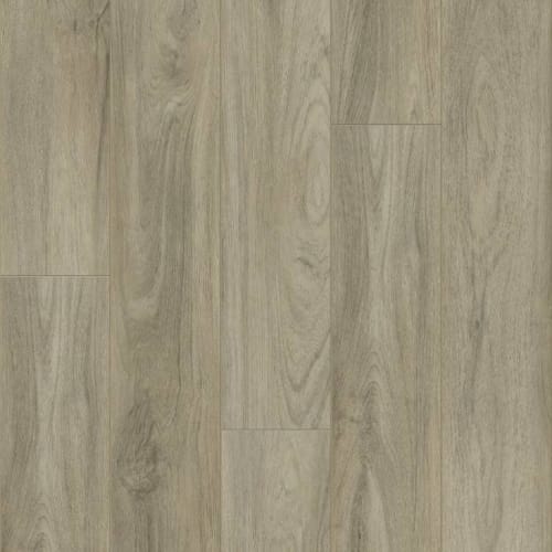 EL CENTRO PLUS in Pisa