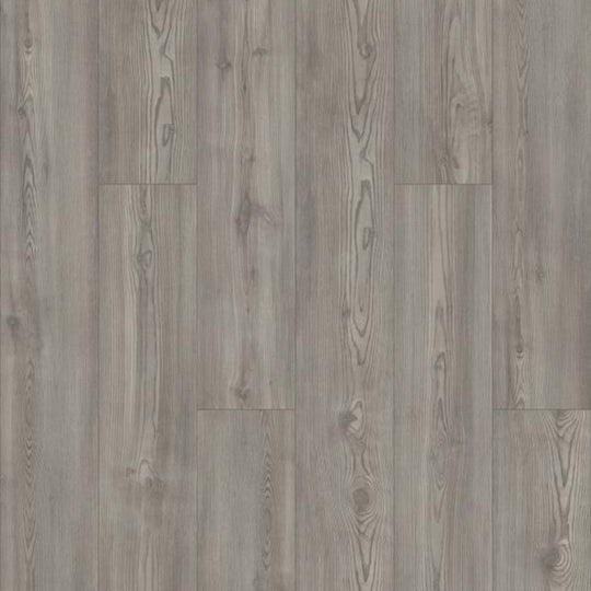 BISHOP SHORES PLUS in Fresh Pine