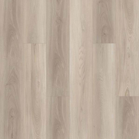 BISHOP SHORES PLUS in Lighthouse