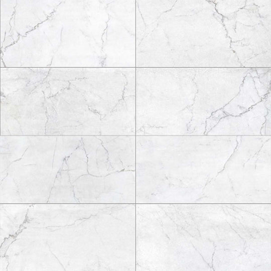 Antica in Carrara White 12x24