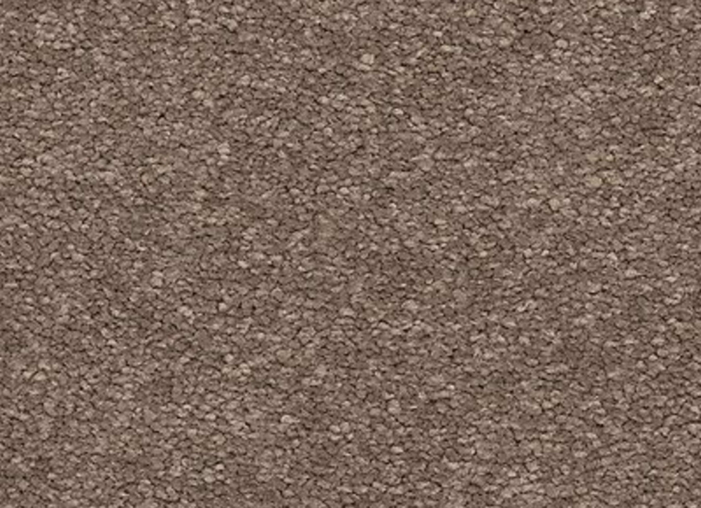 Maison Chic in Champaign Carpet