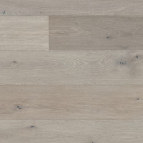 Norwood Hill - Montage European Oak in Lucca