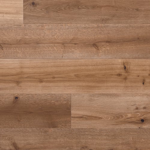 Norwood Hill - Montage European Oak in Monterosso
