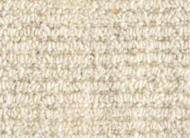 Magnum Opus in Canvas Carpet