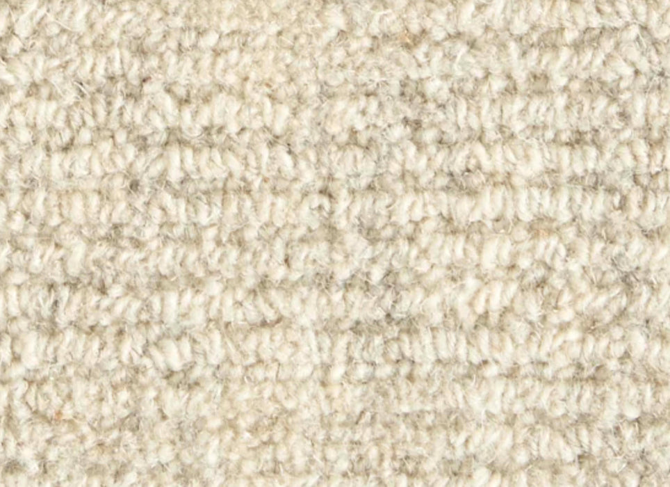 Magnum Opus in Canvas Carpet