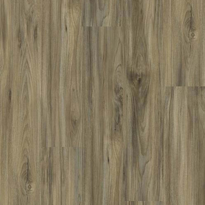 HYDE PARK PLUS in Whispering Wood Luxury Vinyl