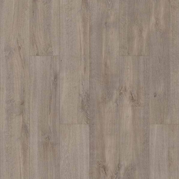 CHESNEY PLUS ACCENT in Ambassador Luxury Vinyl