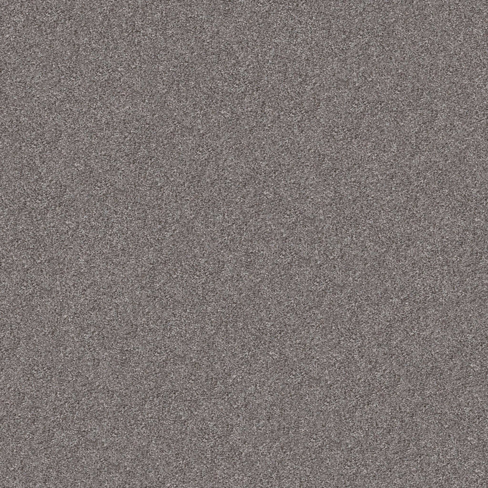 ALBANY GLEN in Silversmith Carpet