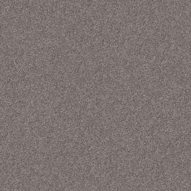 ALBANY GLEN in Silversmith Carpet