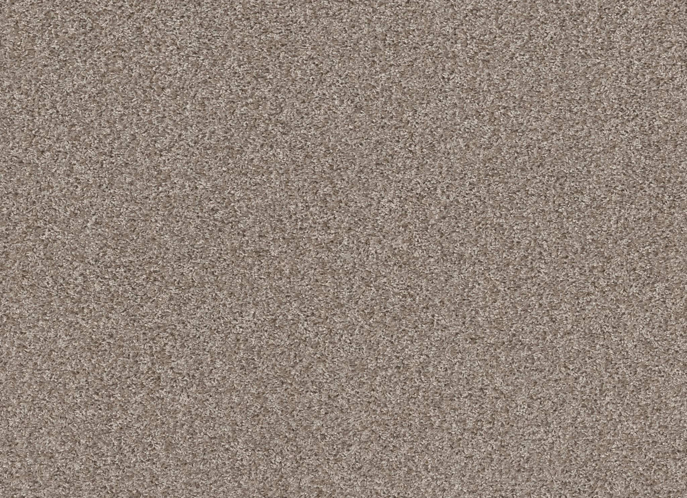 JOHNSTOWN WAY in Antique Lace Carpet