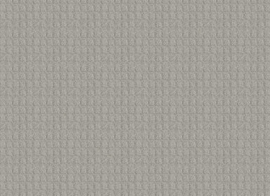 COFFMAN in Silver Carpet