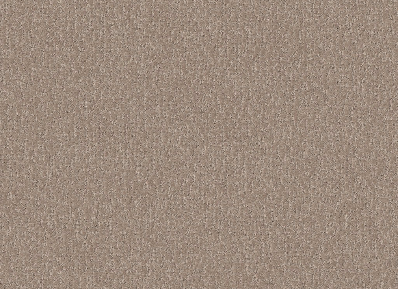 EARLINGTON in Walnut Carpet