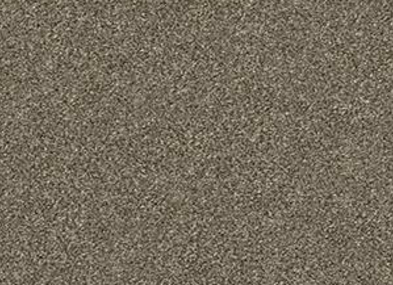 DUNNIKER in Fox Hollow Carpet