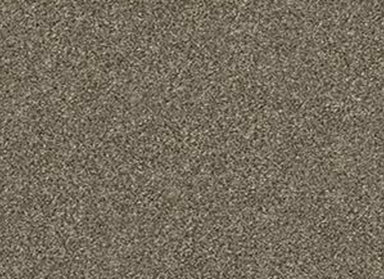 DUNNIKER in Fox Hollow Carpet