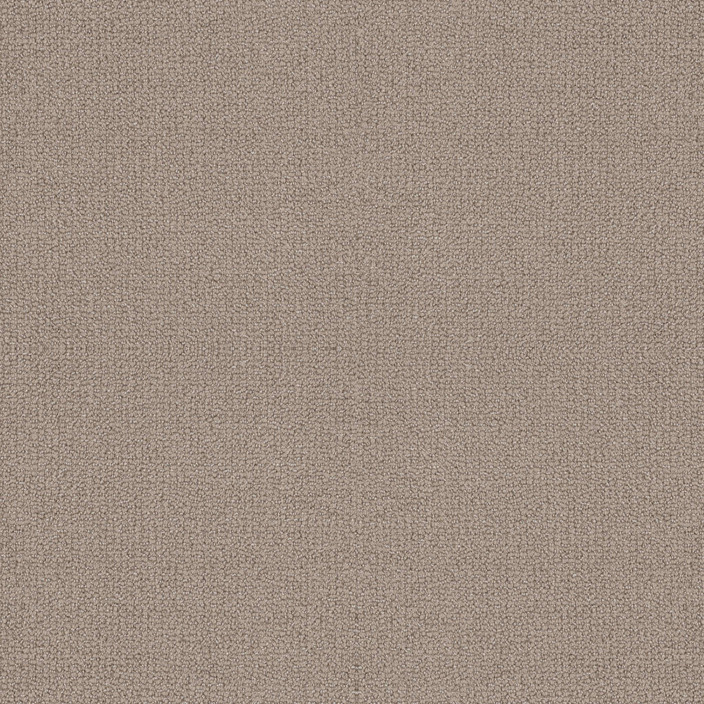 ABORY HILL in Perfect Taupe Carpet
