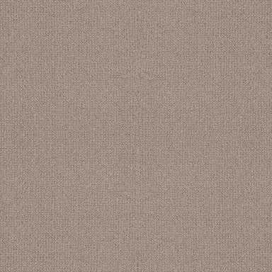 ABORY HILL in Perfect Taupe Carpet