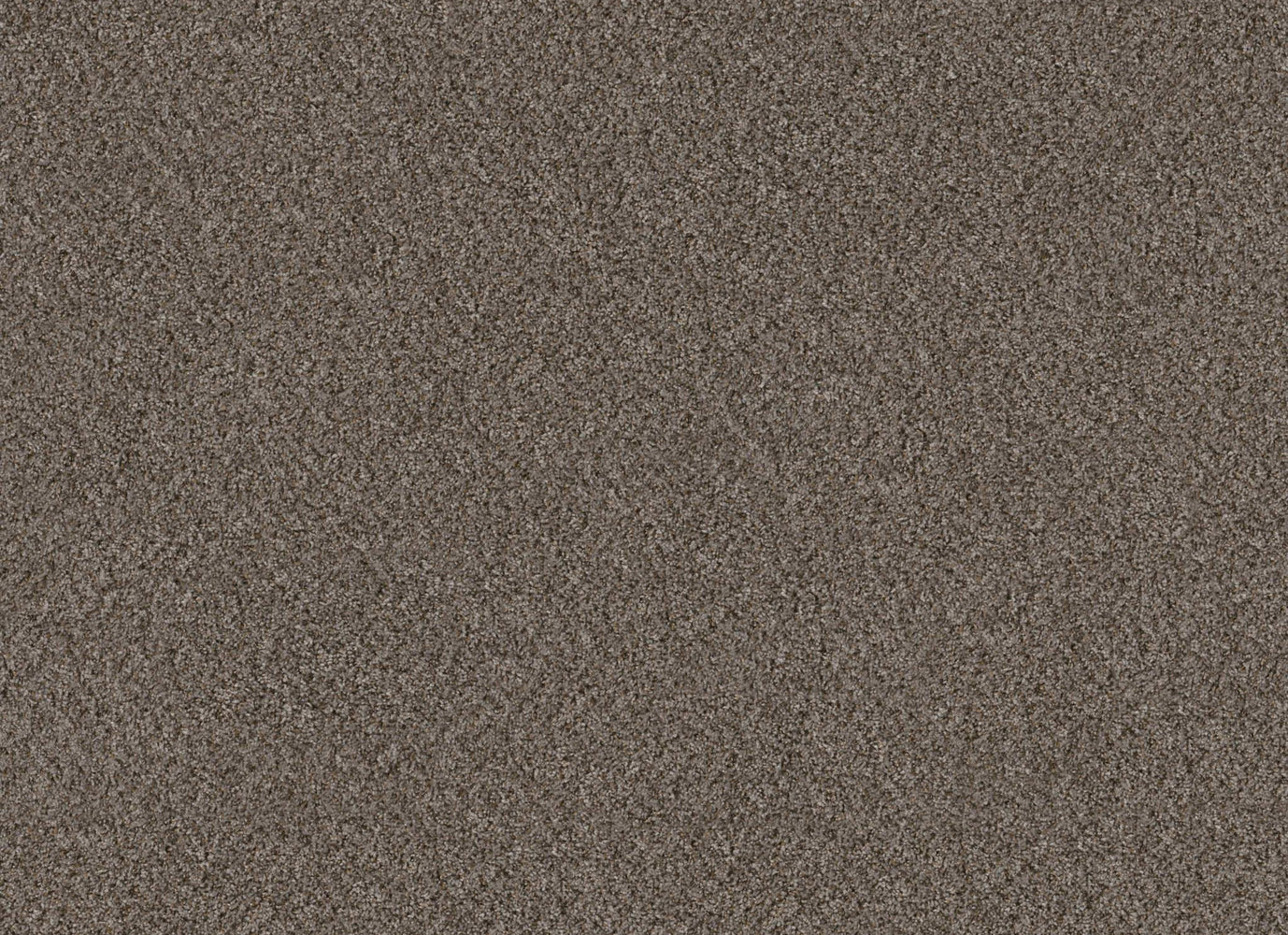 FLORIAN in Raven(B) Carpet