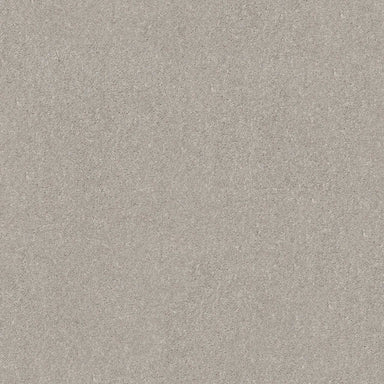 ASPINWALL in Silver Mist Carpet