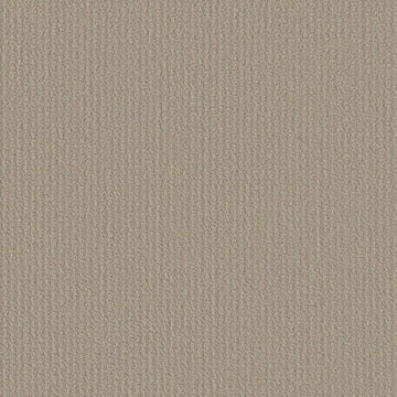Studio Taupe