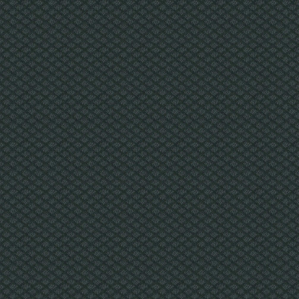 AVOCET in Moon Bay Carpet