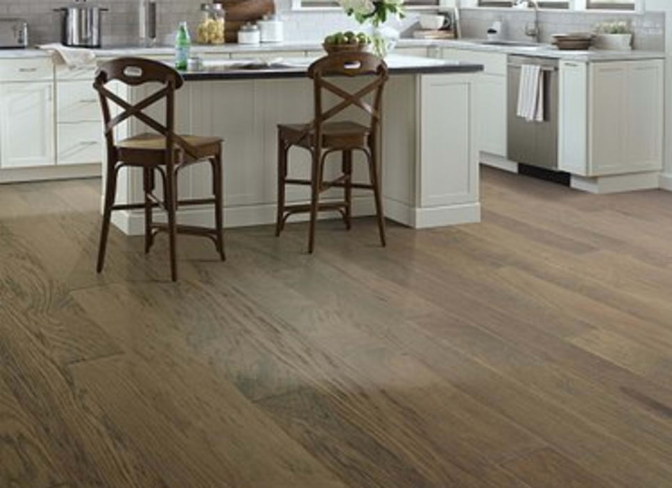 FORREST LAKE in Nomadic