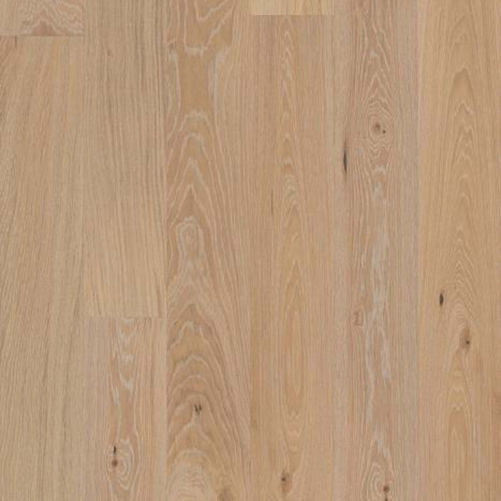ECHO MTN in Poetry Hardwood