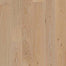 ECHO MTN in Poetry Hardwood