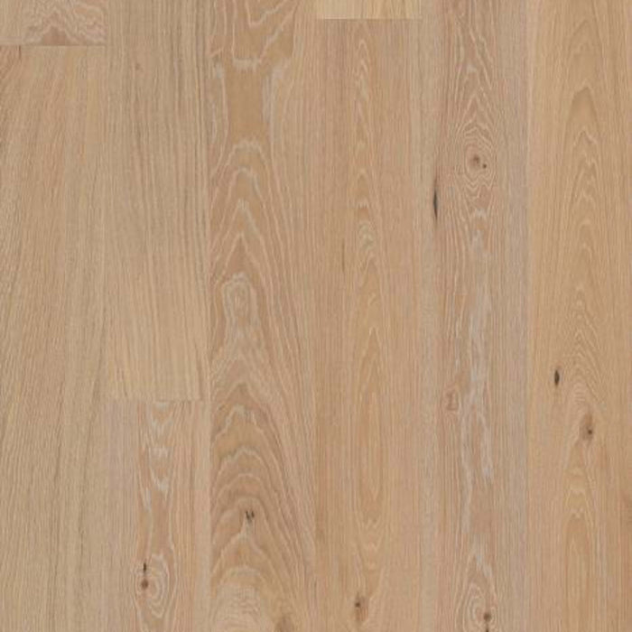 ECHO MTN in Poetry Hardwood