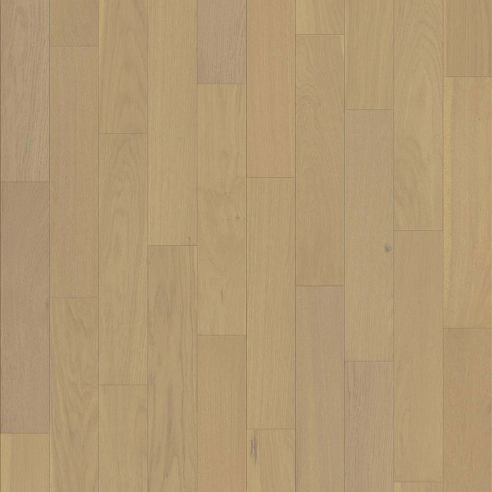 JACKSON AVE in Carnegie Hardwood