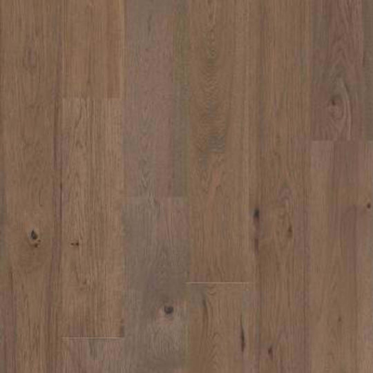 GRAND TETON in Mushroom